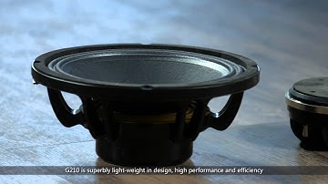 Soundking  Latest Product 10” line array -G210