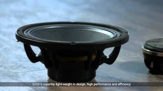 soundking line array speakers