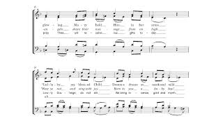 Gareth Treseder's "Bethle'm Baby"