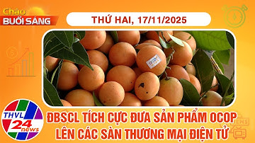 Chào buổi sáng (17/11/2025): ĐBSCL tích cực đưa sản phẩm OCOP lên các sàn thương mại điện tử