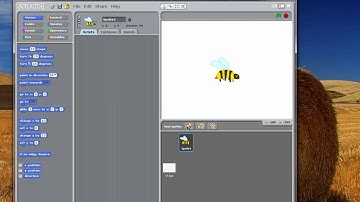 Importing New Sprites in Scratch