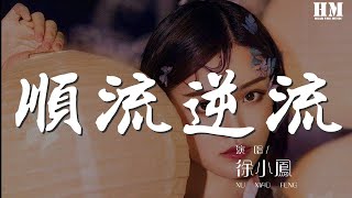 徐小鳳 - 順流逆流『不經意在這圈中轉到這年頭』【動態歌詞Lyrics】
