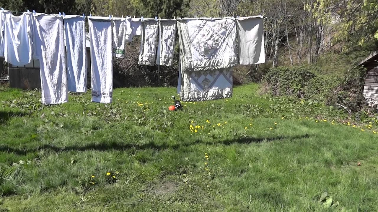 camera iphone 8 plus apk Bill playing with a Basket Ball