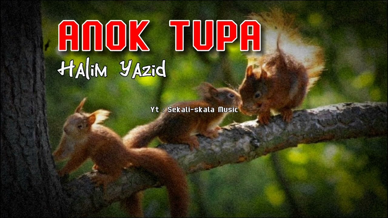 Halim Yazid = Anok tupai 🐿️
