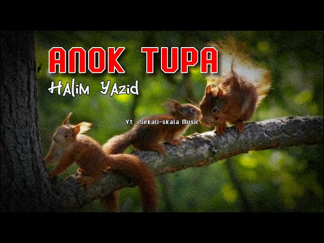 Halim Yazid = Anok tupai 🐿️ class=