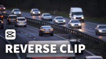 How to REVERSE Video in CapCut PC