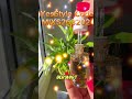 5 грудня 2025 р.