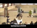 Sir splash a lot at swan lake schooling show december 2012 easy does it hunter 1st trip