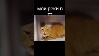 мои реки в тт #мемы #рек #memes #мемы2023 #meme #shorts #мемытиктока