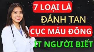 Bác Sĩ Chỉ Ra 7 Loại Lá Giúp Mạch Máu Thông Suốt – Giảm Nguy Cơ Tai Biến| BS Minh Hạnh