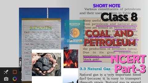 Coal and Petroleum Class 8 NCERT| Explain In Hindi