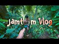 Hardest climbs and trekking i jamthum bari  waterfall  4k  tripura  vlog