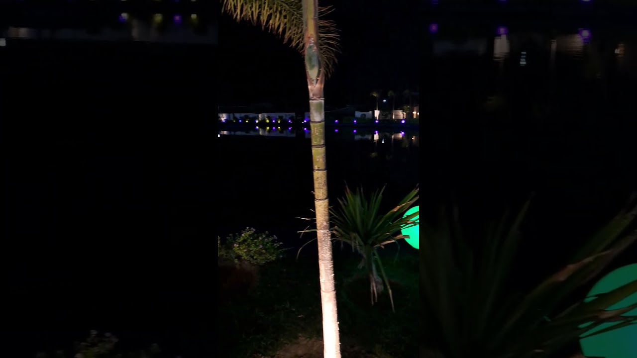 Night Magic at HG Eaton Plaza Barnala: Mini Canada Experience!