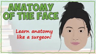 Anatomy of the Face