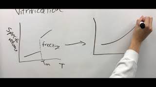 MSE465: Cryo-electron Microscopy