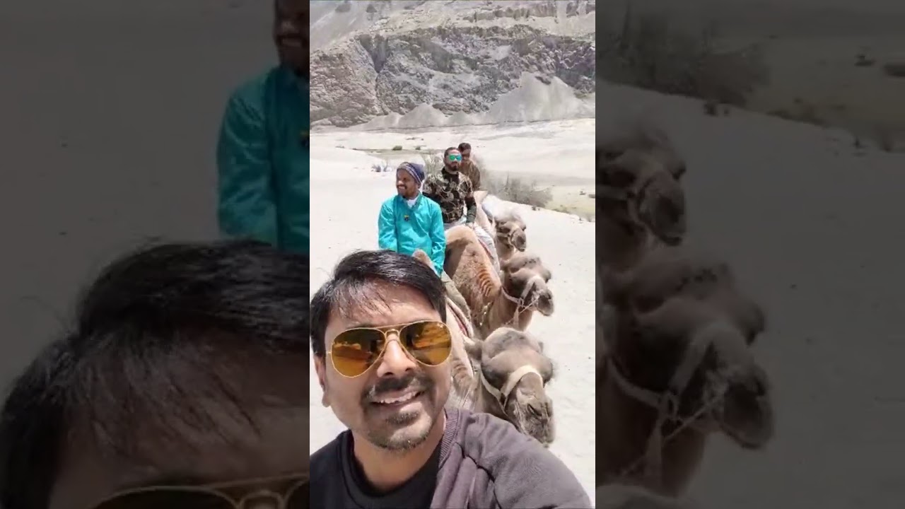 Camel Ride in Nubra Valley 
