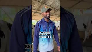 പാൽ വില്പന തന്നെയാണ് യഥാർത്ഥാ വരുമാനം