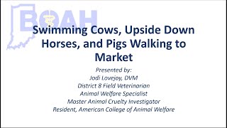 Lunch and Learn: Technical Large Animal Rescue