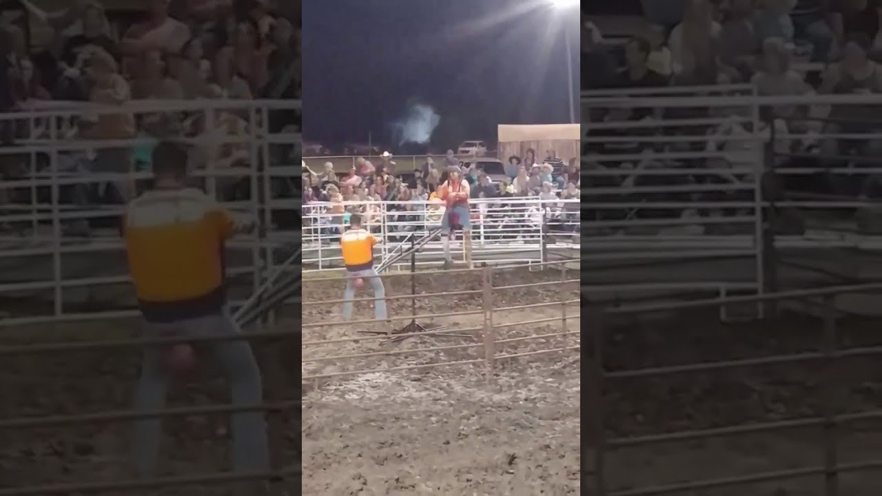 Teeter Totter Teases Rodeo Bull ViralHog YouTube