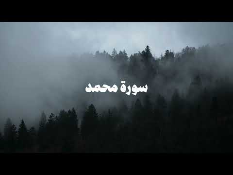 سورة محمد كاملة | الشيخ محمد عبادة