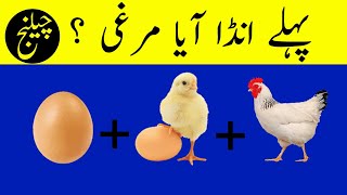 Amazing Puzzles With Answer | Gernel Knowledge With Answer | Urdu Paheliyan | Common Sense screenshot 5