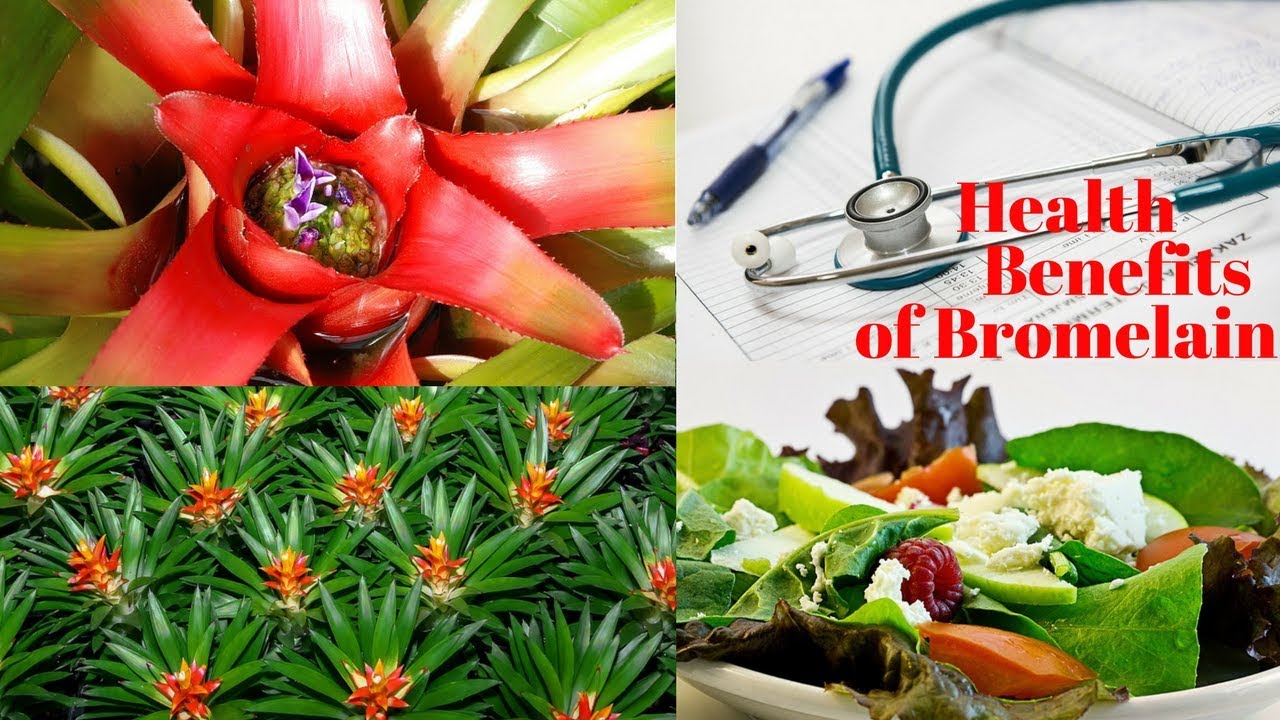 6 Unbelievable Health Benefits Of Bromelain YouTube 6-unbelievable-health-benefits-of-bromelain-youtube