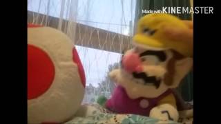 Warios Anger Management