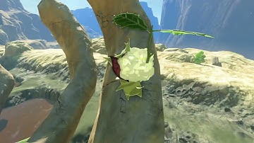 [DAY 555] of finding one korok seed in TotK everyday until we get them all