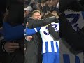Hurzeler's reaction as Welbeck seals victory #fabianhurzeler #brightonandhovealbion #dannywelbeck