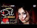 Dil De Mareez | Gulaab | Punjabi Sad Song official | Latest Punjabi Saraiki Songs