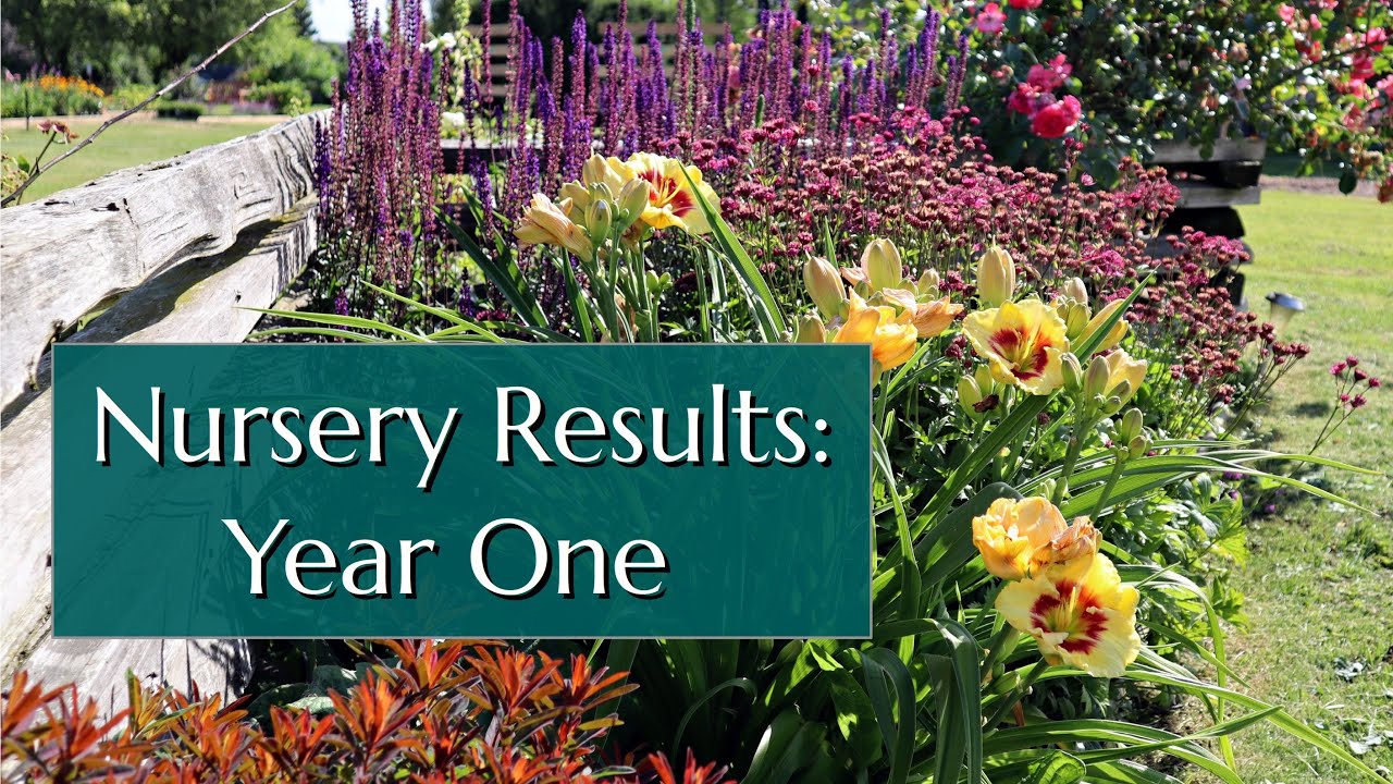 Our Plant Nursery. How the Business Looks in Year 1 - YouTube