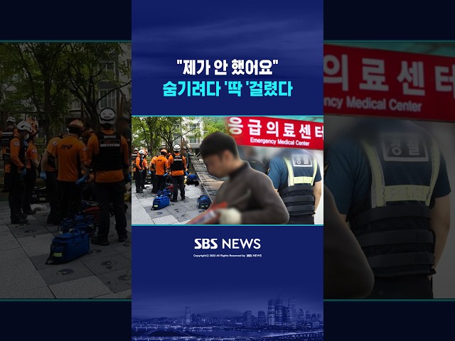 외국인 운전자 '황당' 거짓말 #shorts
