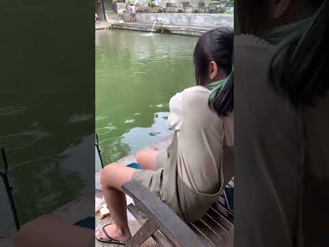 THEME SONG MANCING MANIA NO COPY RIGHT #mancingmania #sekedarhobyofficial1 #mancingvlogpagatan #song