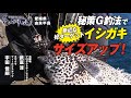 【秘策!/石師魂】G釣法で身近な好ターゲットイシガキ サイズアップ(前編)【イシダイ釣り】