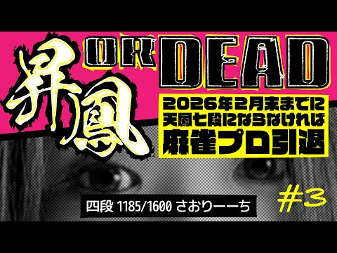 さおりーち - YouTube