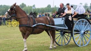 Noordwelle Menwedstrijden En Streekdracht Vereniging De Arke