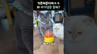 가르쳐준다며ㅋㅋ
