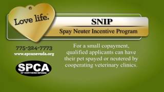 SPCA GeneralOverview R1 YouTube sharing