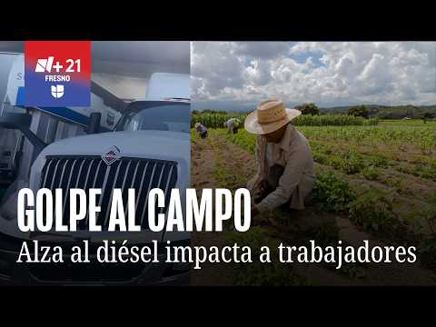 "We’re barely breaking even": Record diesel prices impact truckers and farmworkers