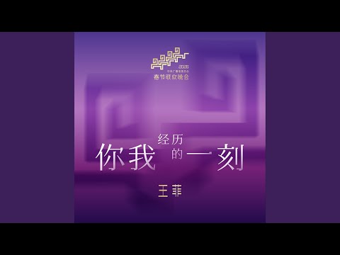 王菲 - 你我經歷的一刻
