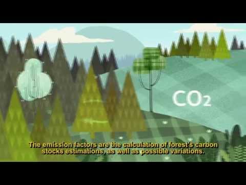 Sistema Nacional de Monitoreo Forestal