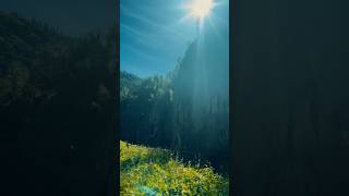 Ущелье Че-Чкыш ❤️ Долина горных духов ❤️ Горный Алтай #природа #горыалтая #shots