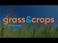Grass  crops by herdwatch