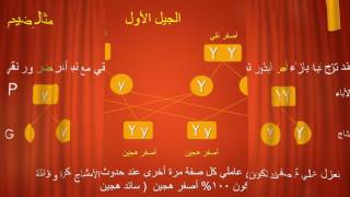 الصف الثالث الاعدادي "قانون مندل الاول" أ / لمياء الملاح