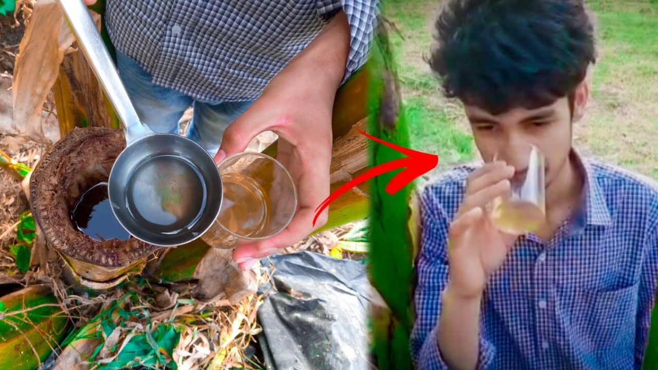 How to make juice from Banana Tree ||  Banana stem Juice.