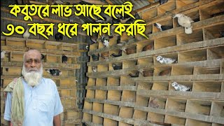 #128 I have been raising pigeons for 30 years because there is profit in raising pigeons. kobutor... screenshot 3