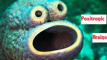 Positronic Brains - Built For Sin