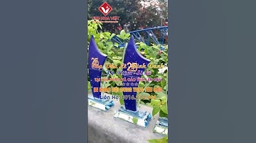 💎 CÚP PHA LÊ KHẮC LOGO – QUÀ TẶNG VINH DANH ĐẲNG CẤP! 💎 📞 Hotline: 0916.234.944 – 0383.911.333