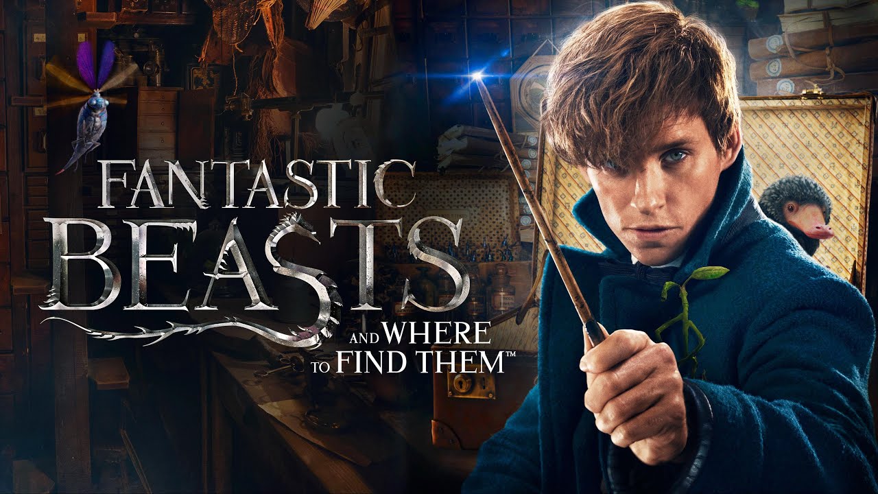 Fantastic Beasts and Where to Find Them | Movie Clip - YouTube