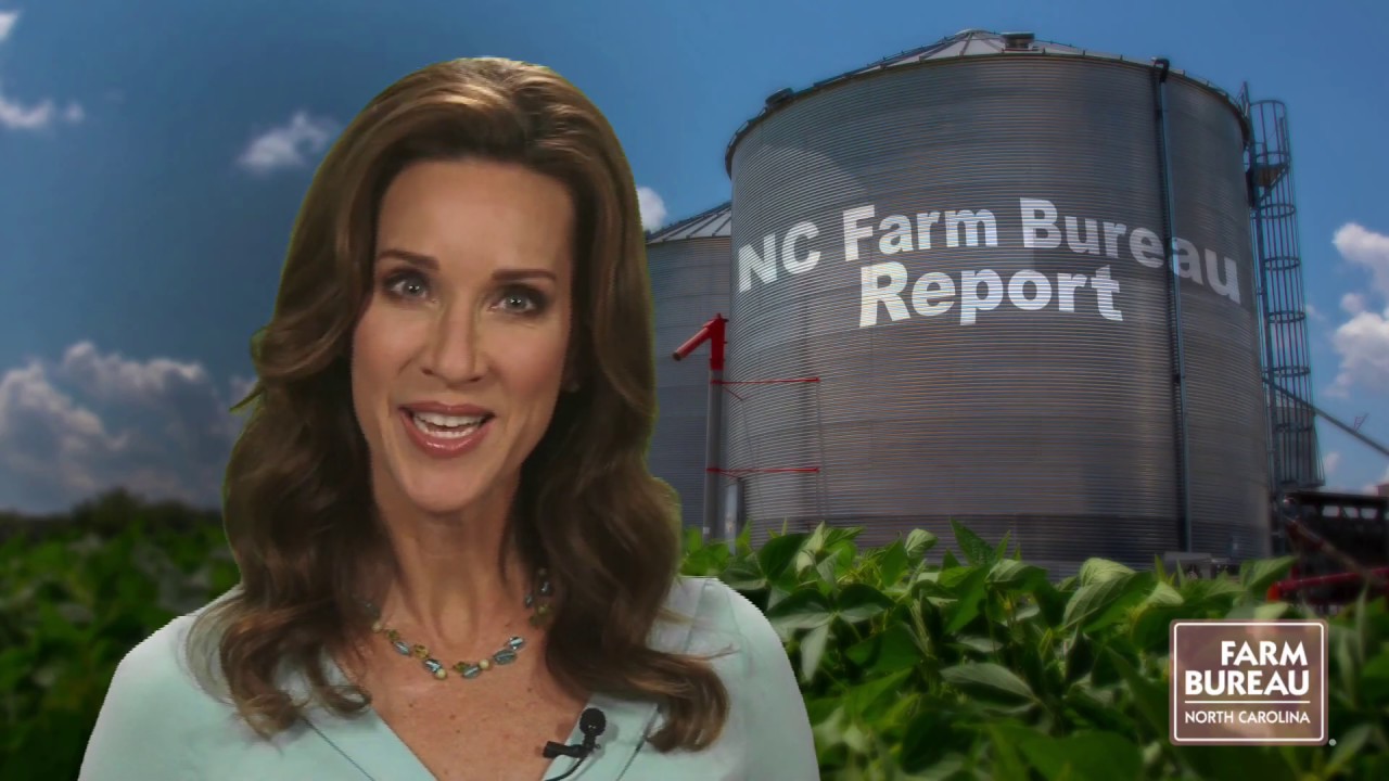 NC Farm Bureau Report for May 1, 2020 YouTube